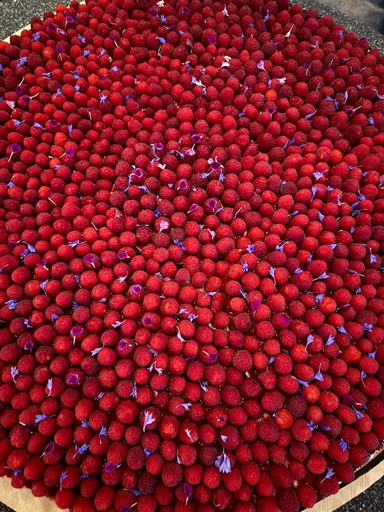 Tarte XXL